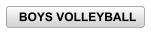 BOYS VOLLEYBALL